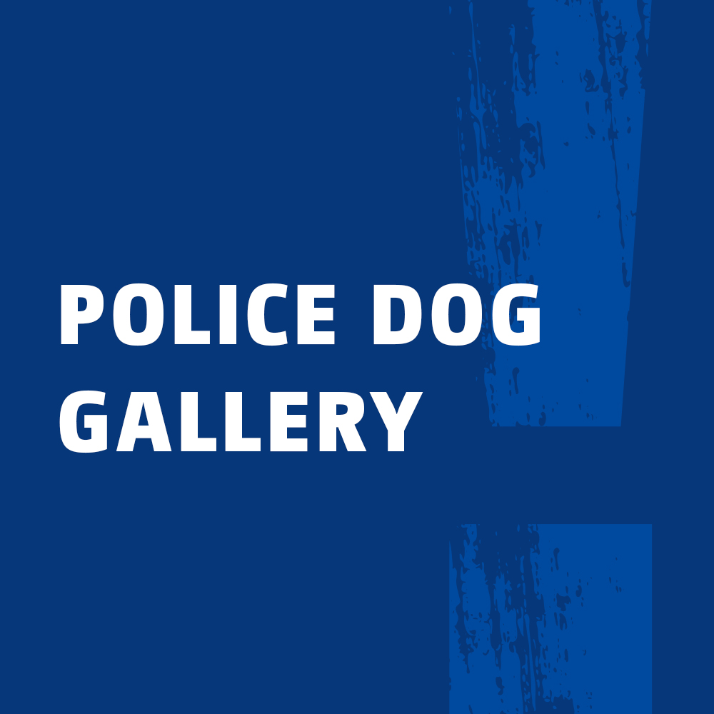 Banner which redirects to the police dog gallery.