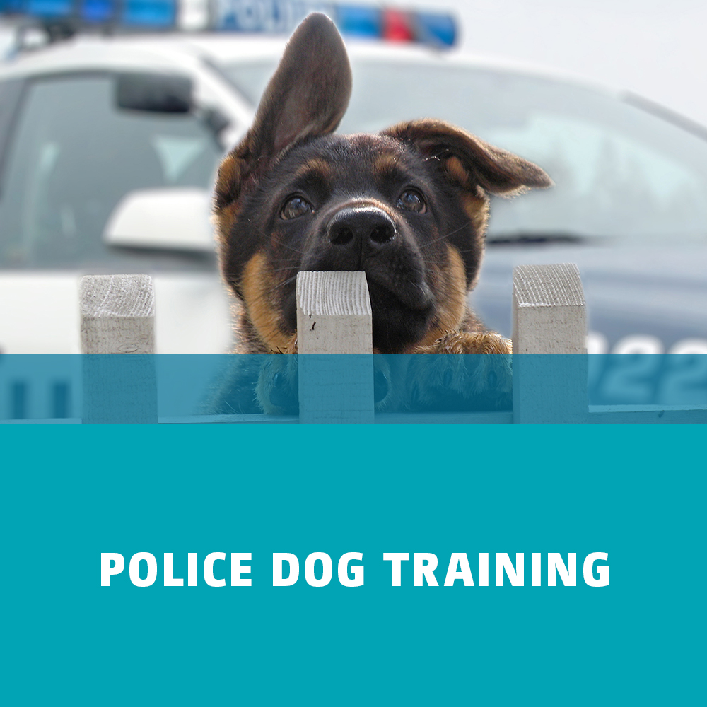 Banner which redirects to the police dog training pages.