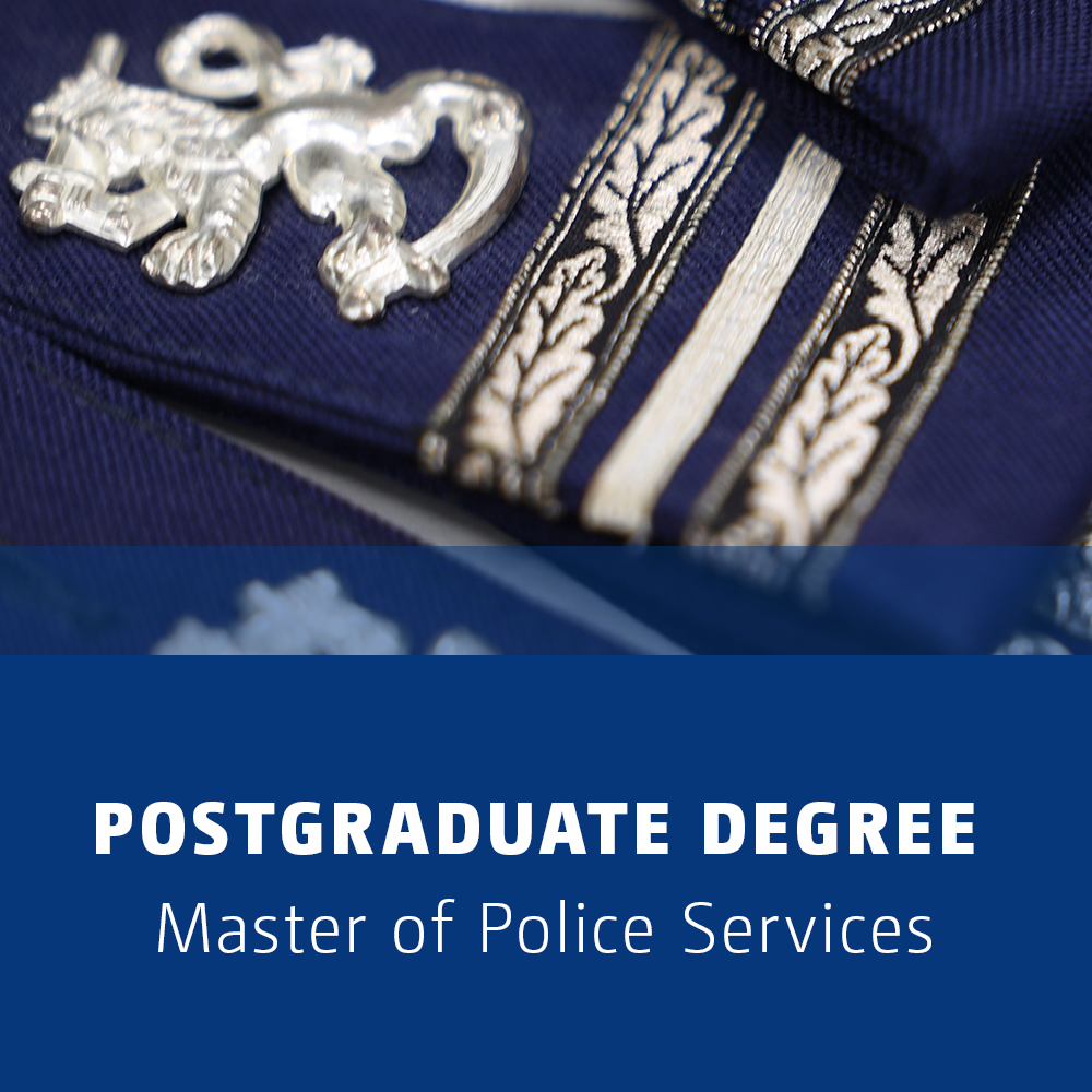 Banner which redirects to the postgraduate degree page.