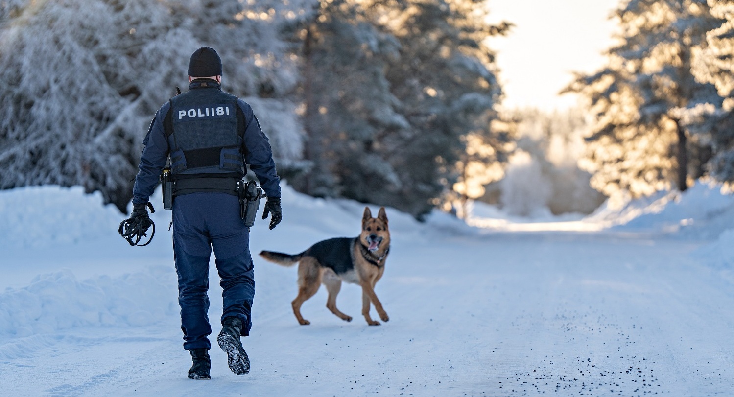 A police dog and the handler walk on a road in the winter.